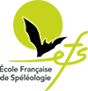 Logo EFS